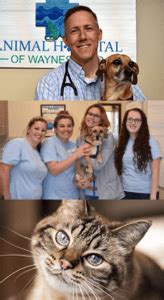 Veterinarians in Waynesboro 